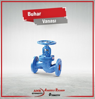 Çorlu Buhar Vanası